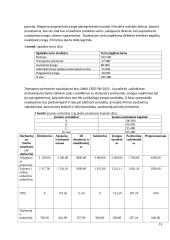 Gaminio gamybos ekonominis pagrindimas 11 puslapis