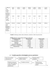 Gaminio gamybos ekonominis pagrindimas 12 puslapis