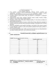 Gaminio gamybos ekonominis pagrindimas 13 puslapis