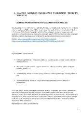 Gaminio gamybos ekonominis pagrindimas 3 puslapis