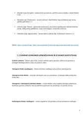 Gaminio gamybos ekonominis pagrindimas 4 puslapis