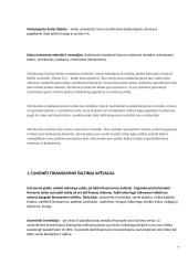 Gaminio gamybos ekonominis pagrindimas 5 puslapis