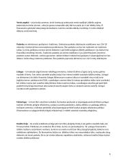 Gaminio gamybos ekonominis pagrindimas 6 puslapis