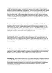 Gaminio gamybos ekonominis pagrindimas 7 puslapis