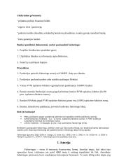 Faktoringas 3 puslapis