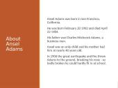 About Ansel Adams 2 puslapis