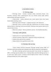 Faktoringas. Faktoringo operacijų vaizdavimas 12 puslapis