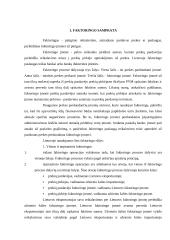 Faktoringas. Faktoringo operacijų vaizdavimas 4 puslapis