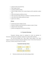 Faktoringas. Faktoringo operacijų vaizdavimas 10 puslapis