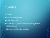 Elektros energetikos raida Lietuvoje 3 puslapis