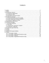 Feminizmo idėjos 2 puslapis