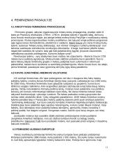 Feminizmo idėjos 11 puslapis