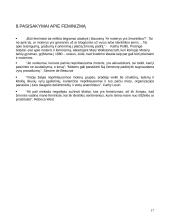 Feminizmo idėjos 17 puslapis