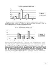 Feminizmo idėjos 19 puslapis