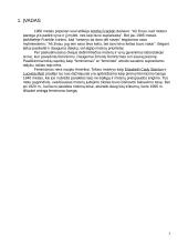 Feminizmo idėjos 3 puslapis