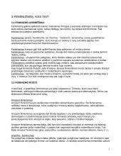 Feminizmo idėjos 5 puslapis