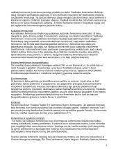 Feminizmo idėjos 6 puslapis