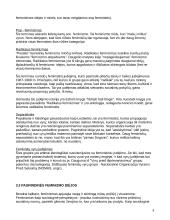 Feminizmo idėjos 8 puslapis