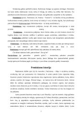 Feminizmo mintys 4 puslapis