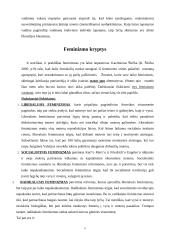 Feminizmo mintys 5 puslapis