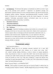 Feminizmo mintys 7 puslapis