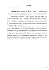 Apie feminizmą 8 puslapis