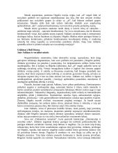 Feminizmas ir pilietybė: Liberalizmas ir jo nepasitenkinimas 11 puslapis