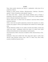 Fiksuotų ir plaukiojančių valiutų kursų pranašumai ir trūkumai 3 puslapis