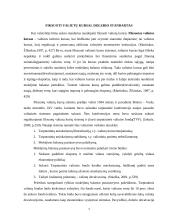 Fiksuotų ir plaukiojančių valiutų kursų pranašumai ir trūkumai 4 puslapis