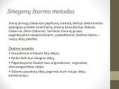 Verslo idėjos ir jų plėtotė  16 puslapis