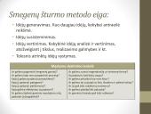 Verslo idėjos ir jų plėtotė  17 puslapis