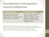 Verslo idėjos ir jų plėtotė  10 puslapis