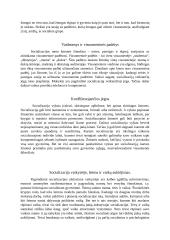 Referatas apie socializaciją 2 puslapis