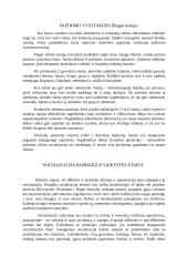 Referatas apie socializaciją 4 puslapis