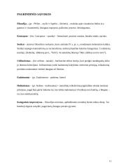 Filosofija — nesibaigiantis ieškojimo, mąstymo kelias 11 puslapis