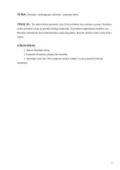 Filosofija — nesibaigiantis ieškojimo, mąstymo kelias 3 puslapis