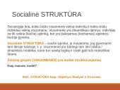 Kas yra sociologija? Įvadas 3 puslapis