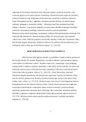 Filosofija apie tai, koks turi būti mokytojas 5 puslapis