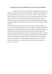 Filosofija apie tai, koks turi būti mokytojas 6 puslapis