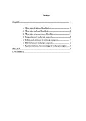 Filosofija apie tai, koks turi būti mokytojas 9 puslapis