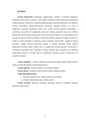 Pasaulio bankas ir jo vykdoma politika 3 puslapis