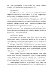 Pasaulio bankas ir jo vykdoma politika 5 puslapis