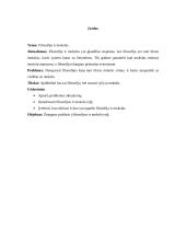 Filosofija bei mokslas 2 puslapis