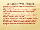 Ekosferos ištekliai ir su jų esama būkle siejamos ekologinės problemos  11 puslapis