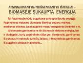 Ekosferos ištekliai ir su jų esama būkle siejamos ekologinės problemos  12 puslapis