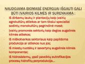 Ekosferos ištekliai ir su jų esama būkle siejamos ekologinės problemos  13 puslapis