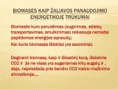 Ekosferos ištekliai ir su jų esama būkle siejamos ekologinės problemos  15 puslapis