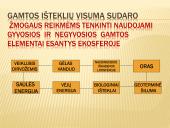 Ekosferos ištekliai ir su jų esama būkle siejamos ekologinės problemos  3 puslapis