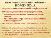 Ekosferos ištekliai ir su jų esama būkle siejamos ekologinės problemos  8 puslapis