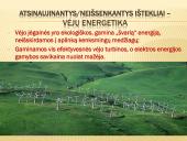 Ekosferos ištekliai ir su jų esama būkle siejamos ekologinės problemos  10 puslapis